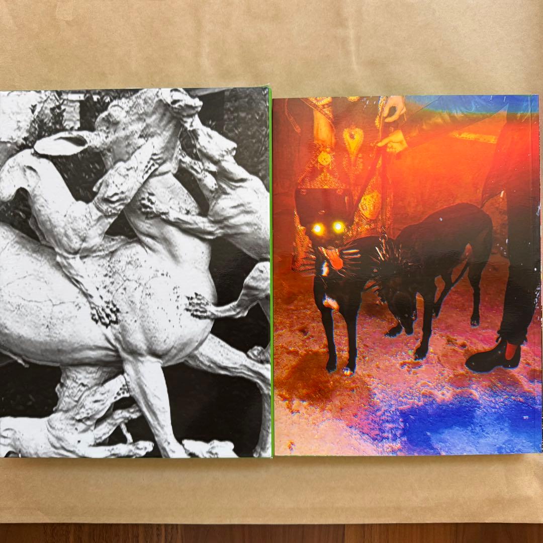 Gucci 限定1000部発行 2019年 Harmony Korine 写真集