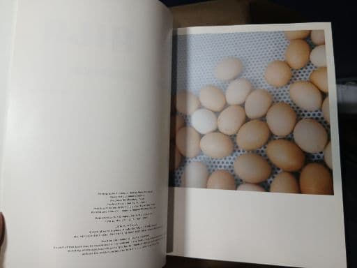 【写真集】川内倫子 ／ AILA