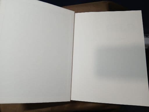 【写真集】川内倫子 ／ AILA