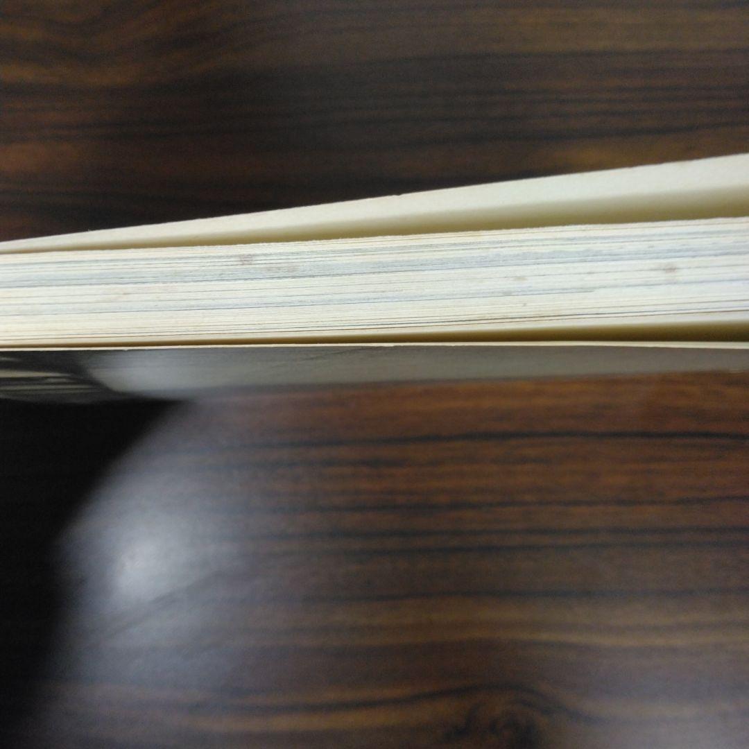 Architectural Visions　ペーパーバック版