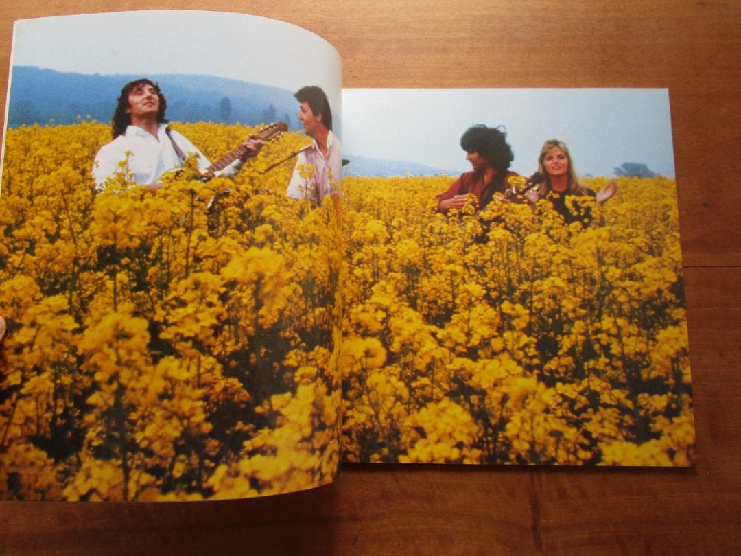 ポールマッカートニー　ウィングス ジャパンツアー1980　パンフ　＆　チケット