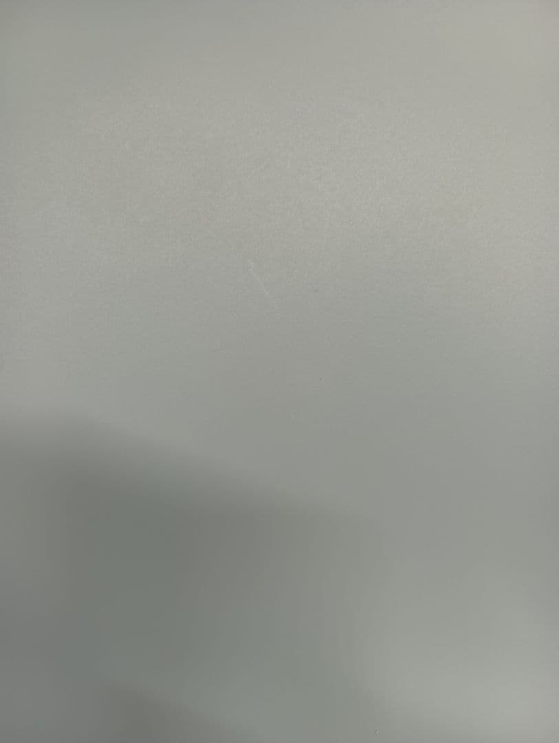 在庫処分 4脚セットVitra HAL Wood ダイニングチェア アイスグレー