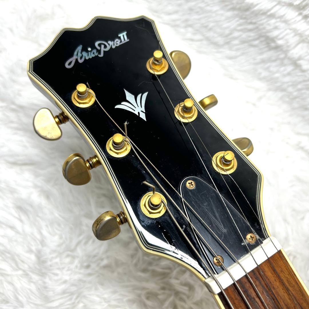 【みそかつ】Aria ProⅡ FA-800 フルアコースティック