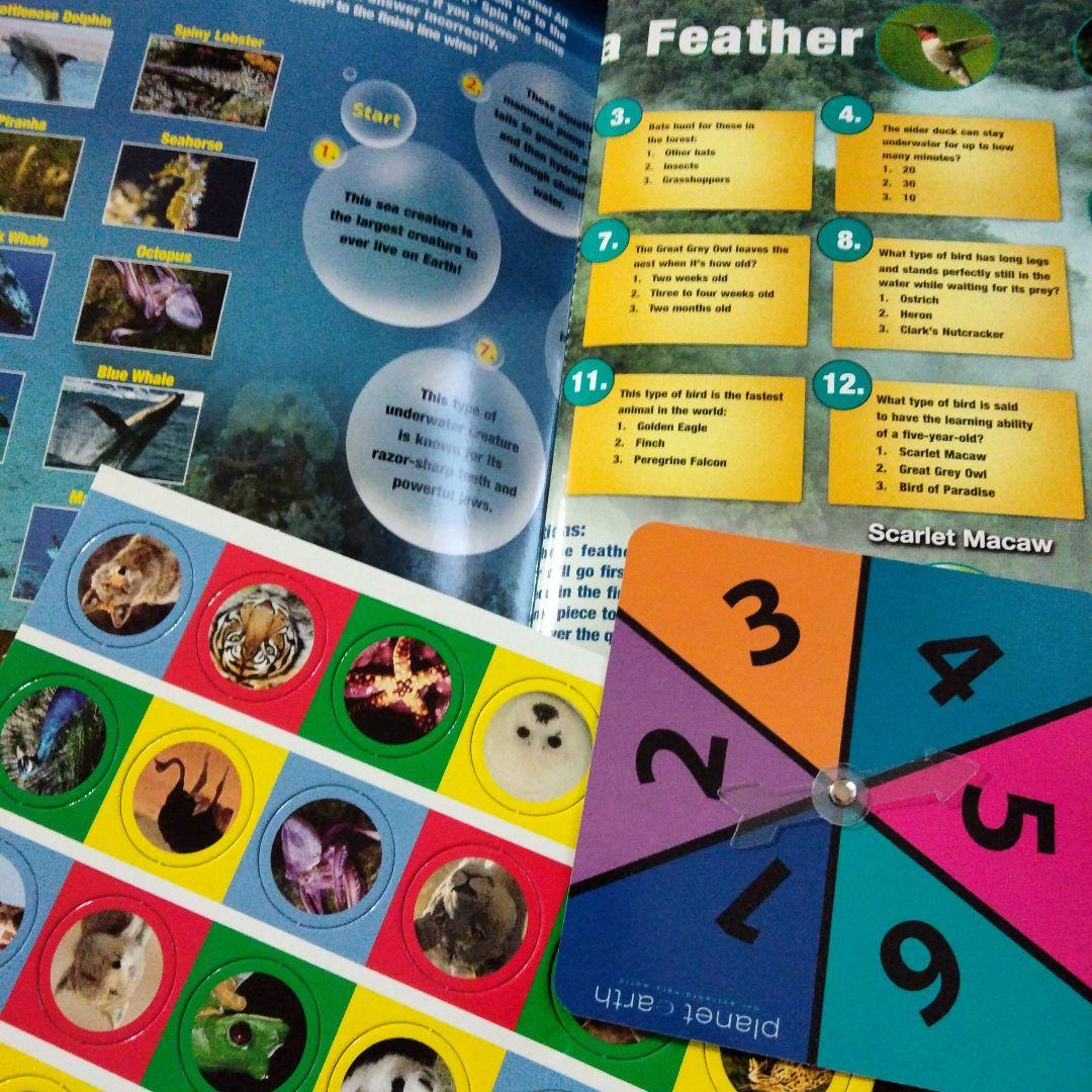 LeapFrog DVD セット 幼児向け 英語教育