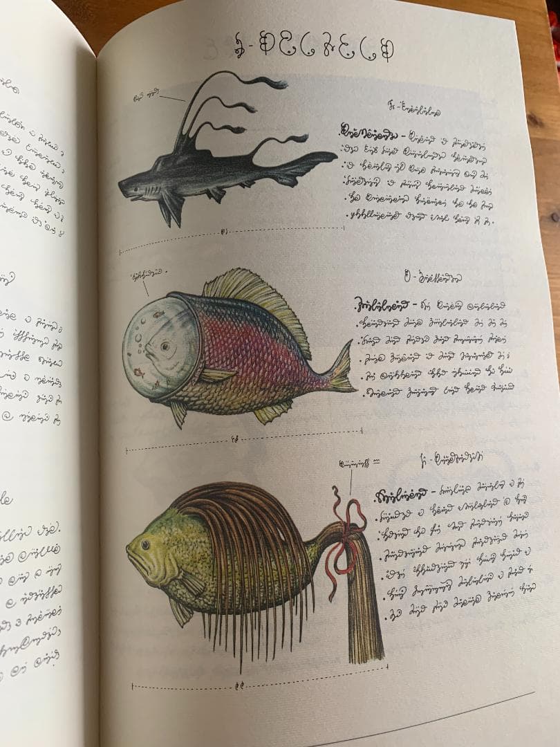 C*N様 Codex Seraphinianus 新しく特別な版