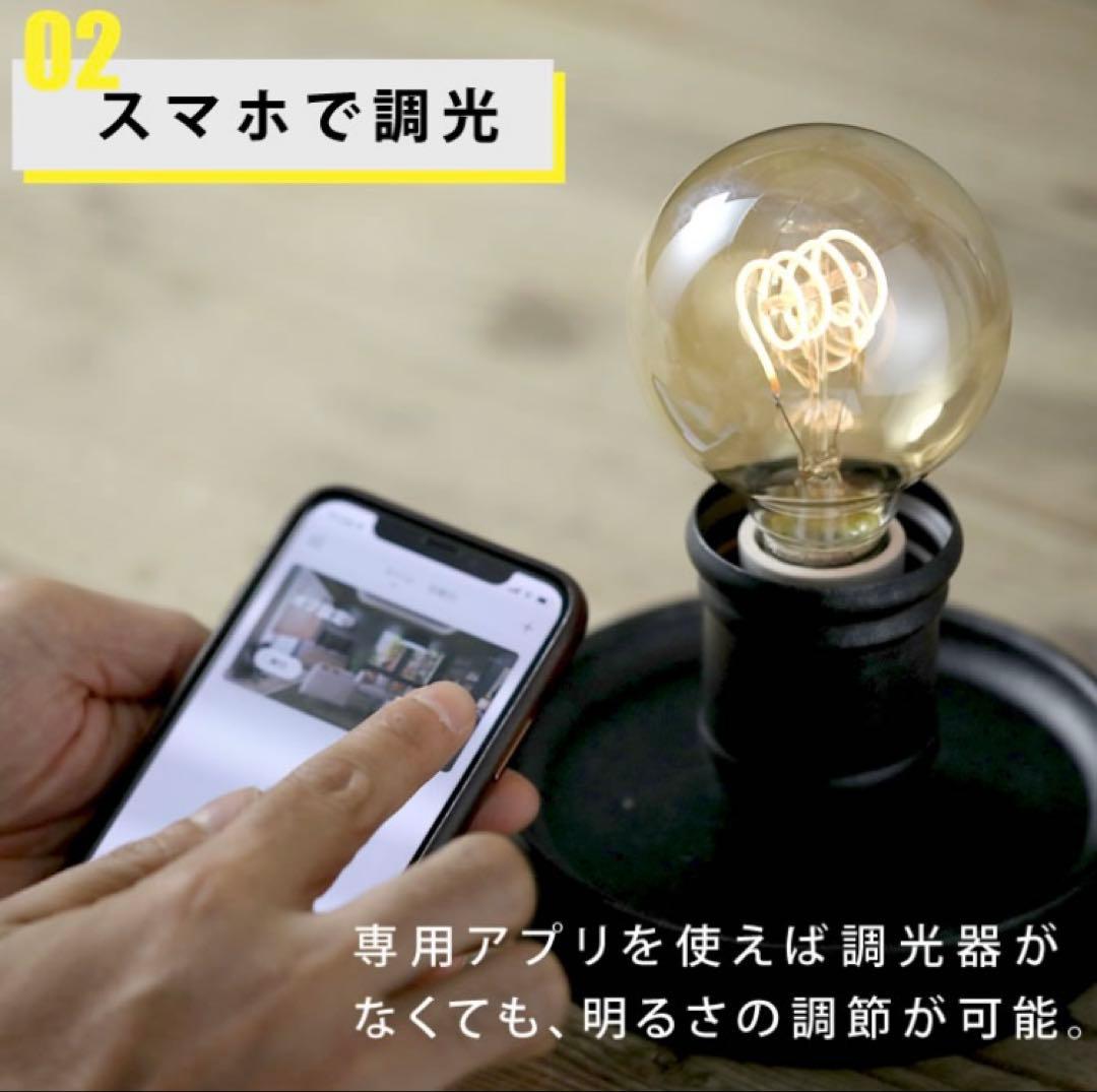 エジソンバルブ LED スマート電球 E26 DST-E26GGSP 6個セット