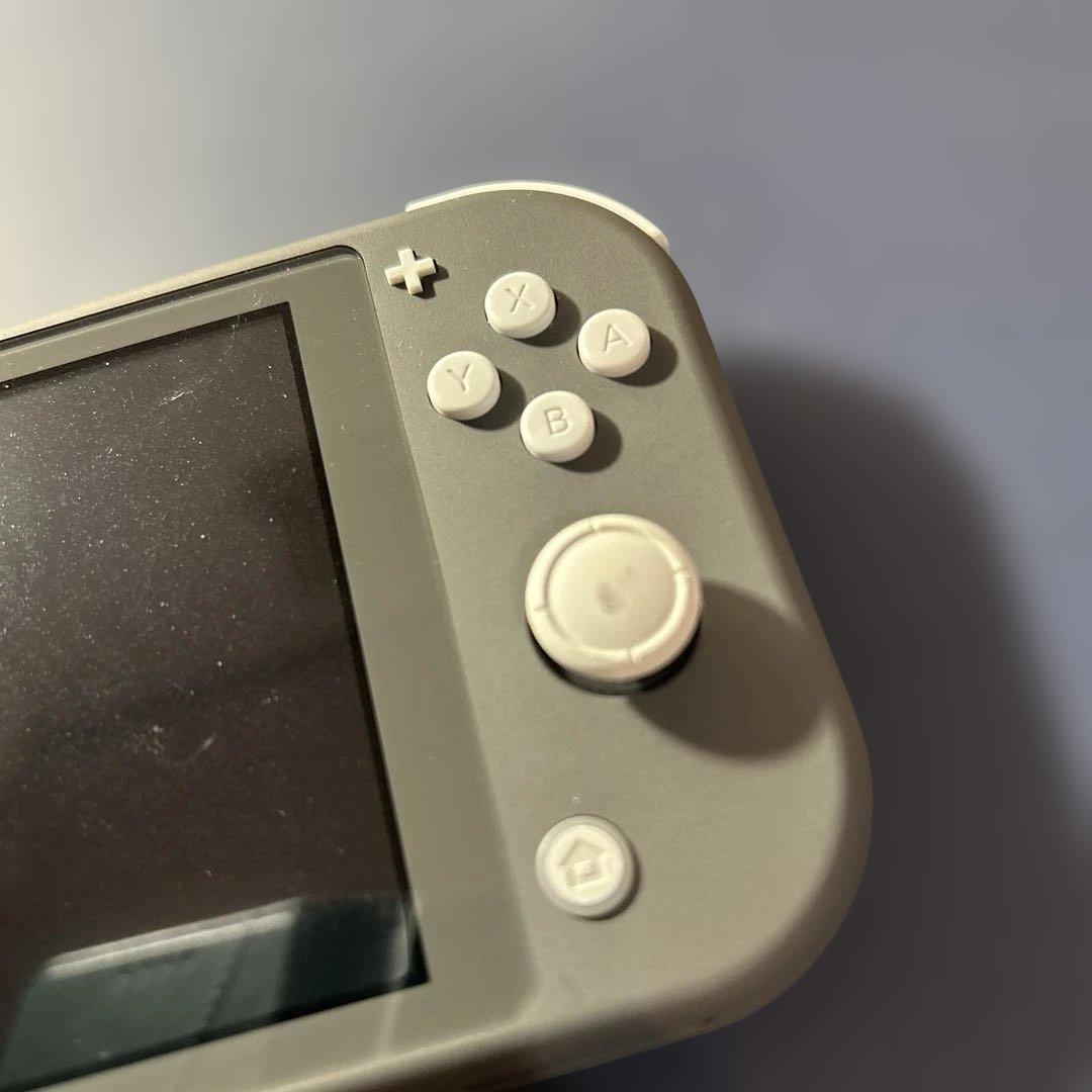 《動作確認済み》Nintendo Switch Lite グレー
