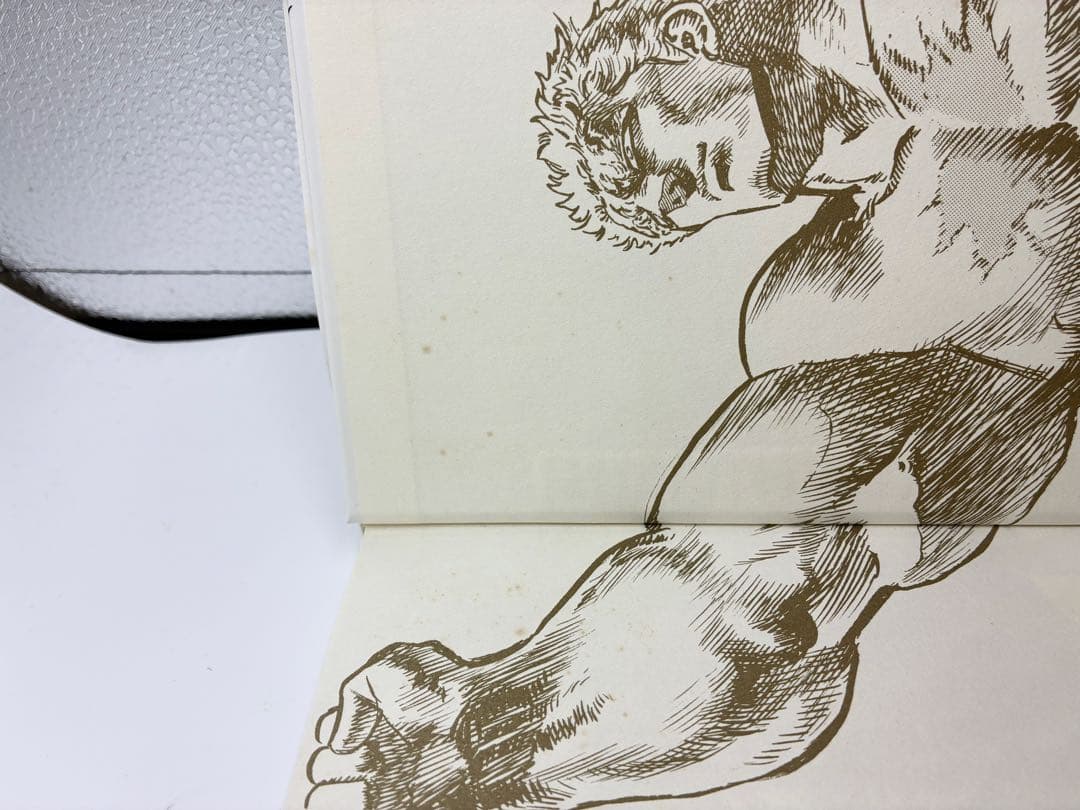 北斗の拳　イラスト集　究極-ULTIMATE-