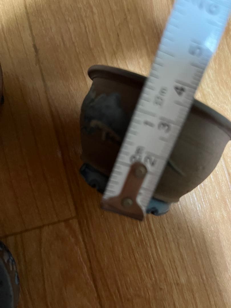 豆盆栽鉢　希少時代　陶翠　彩交趾黒泥丸豆鉢3個セット