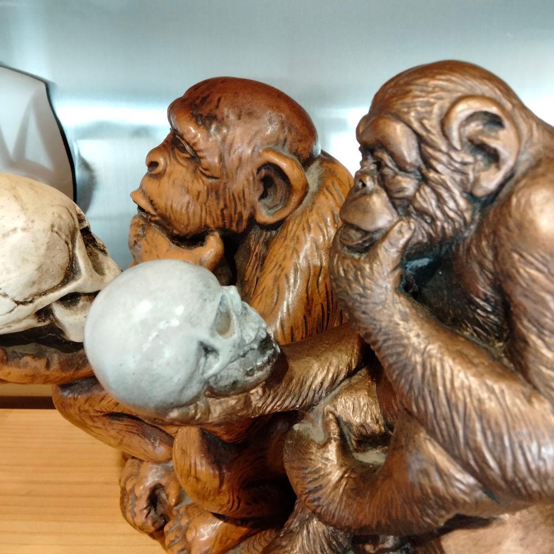 b*x様 1963年　ダーウィン　スカル　ドクロ　モンキー　ビンテージ レア