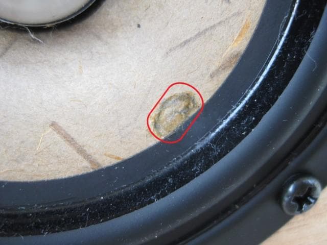 TangBand フルレンジスピーカー　自作　ペア