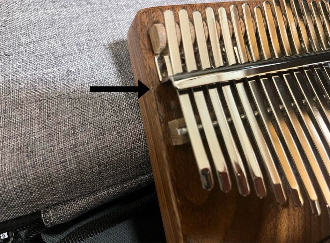 Dual Kalimba / デュアルカリンバ ケース、付属品あり