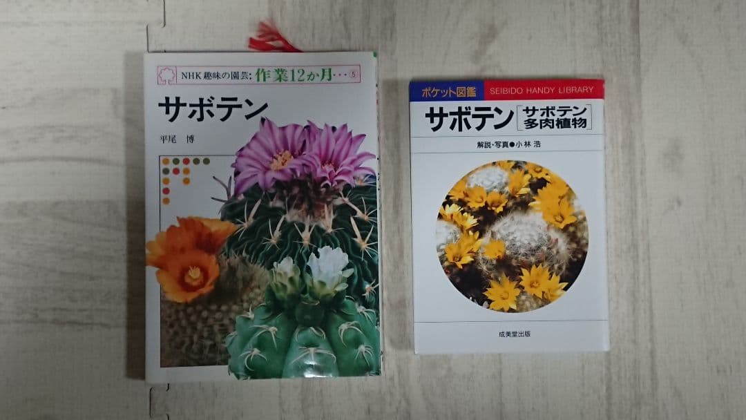 多肉植物 サボテン 本 11冊セット