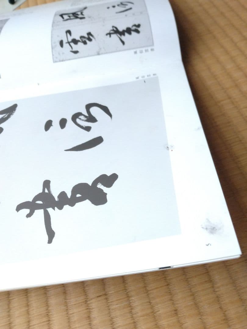 「手島右卿大観 臨書篇 」第一期・第二期・第三期　計30冊　独立書人団