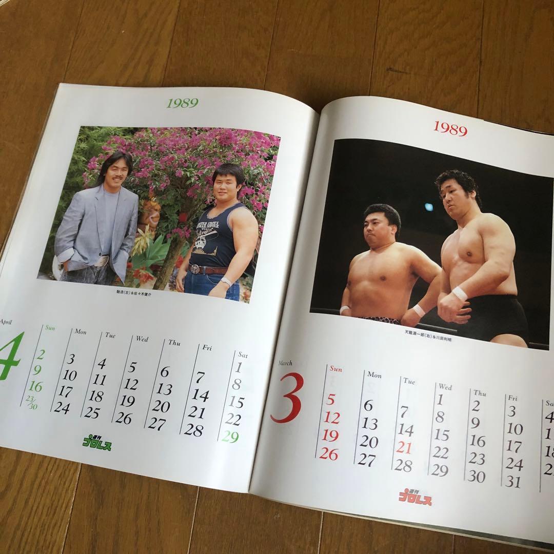 週間プロレス100冊　熱く激しくそして胡散臭い、プロレスがドラマだった時代の記録