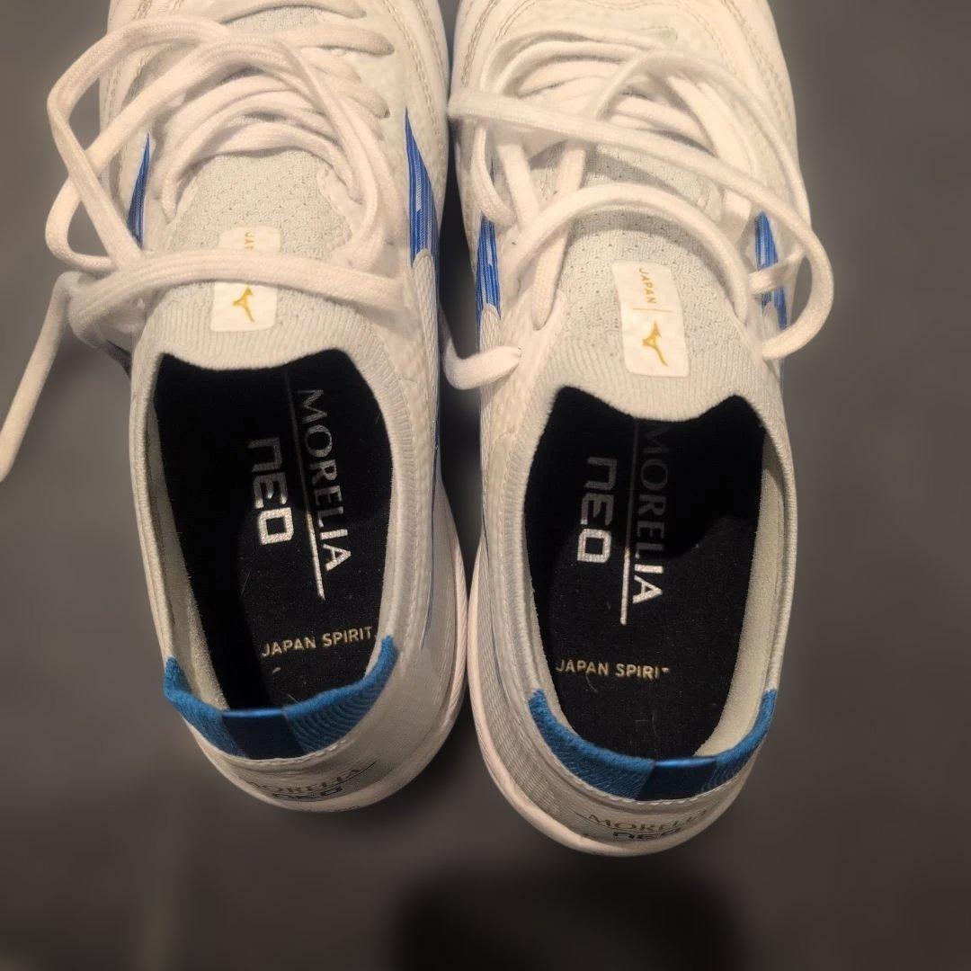 【今週末まで】モレリアネオsala β japan　TF 23cm