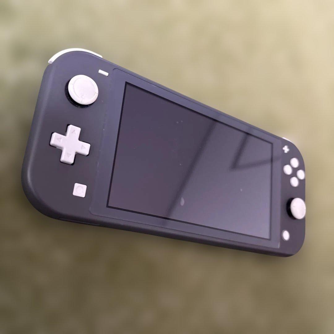 スイッチライト本体　ジャンク