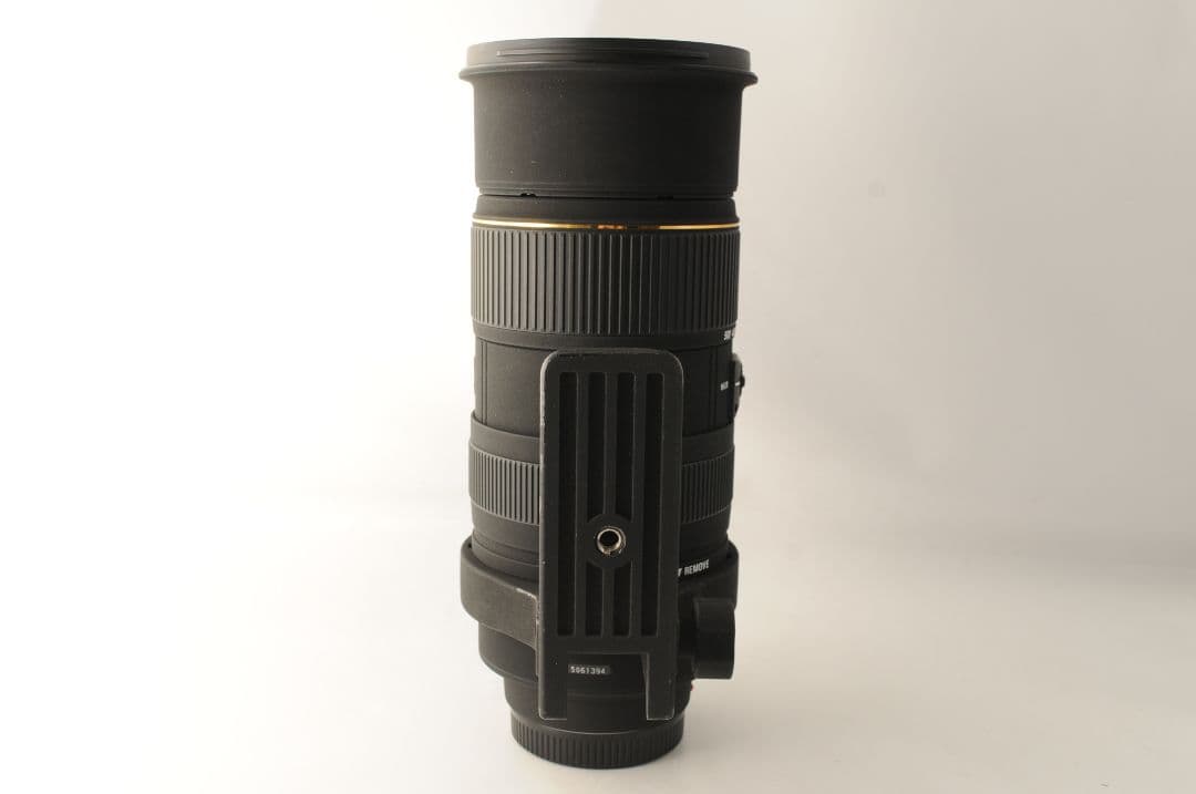 f*m様 SIGMA 50-500mm F4-6.3 APO DG Sony A
