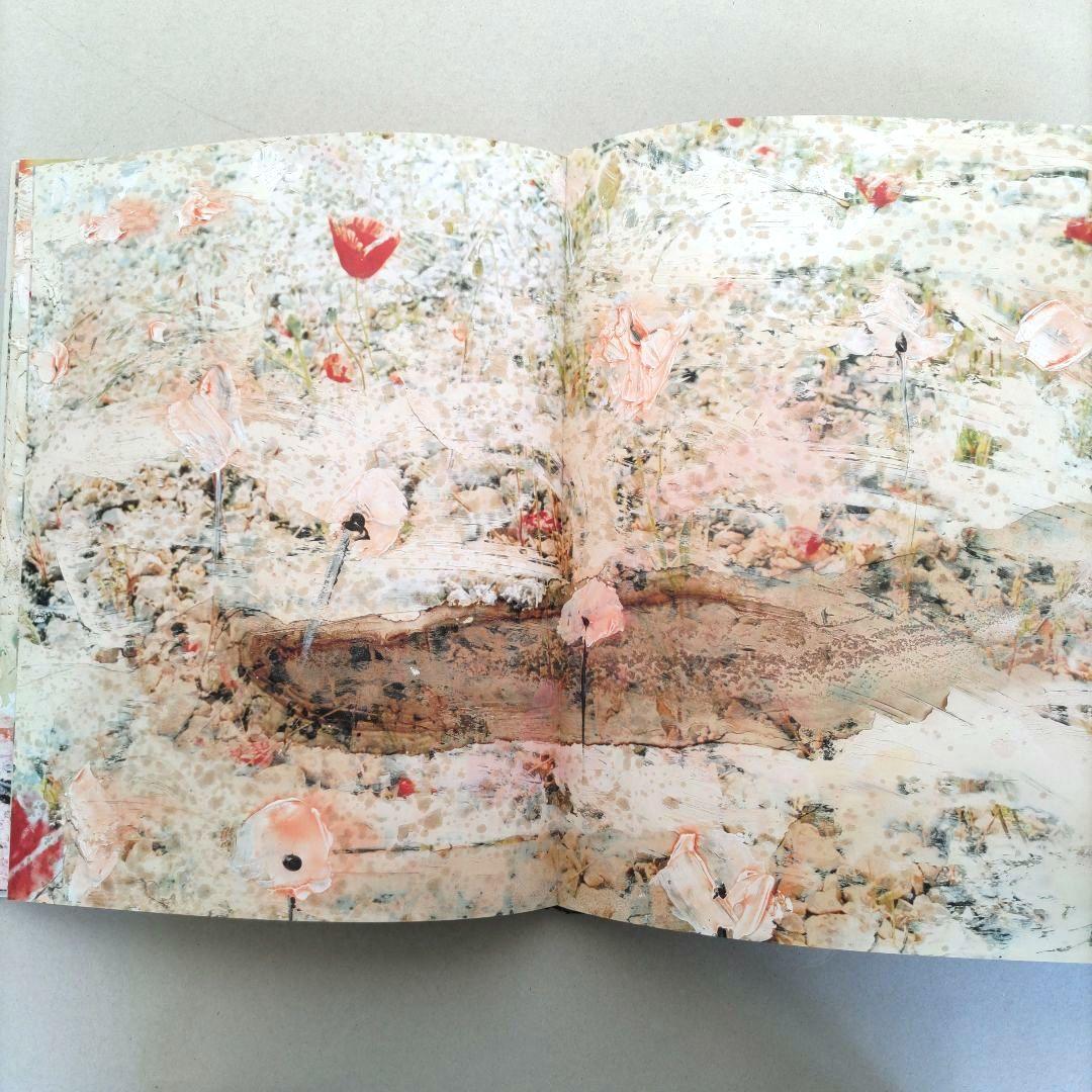 über euren Städten wird Gras wachsen/写真集